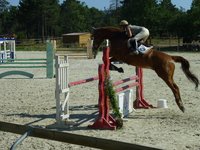 CSO - COMPLET - HUNTER